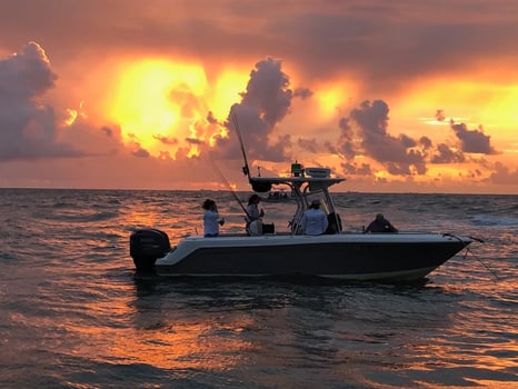 Boat photo for Shark Trip – Nearshore/Offshore