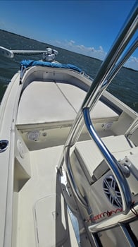 Boat photo for Scenery Tour / Dolphin Cruise