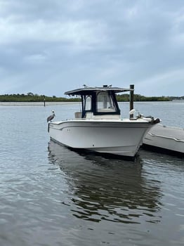 Boat photo for 5-8 Hour Offshore Trip