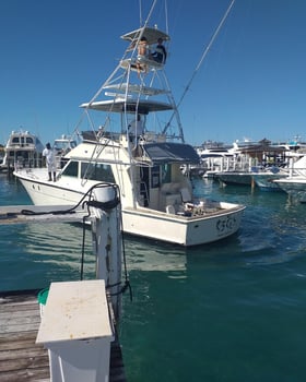 Boat photo for 4-8 Hour Offshore Trip