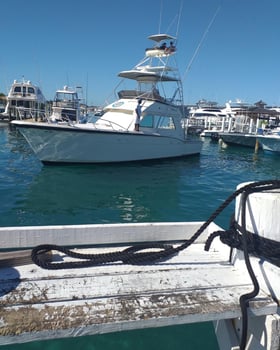 Boat photo for 4-8 Hour Offshore Trip