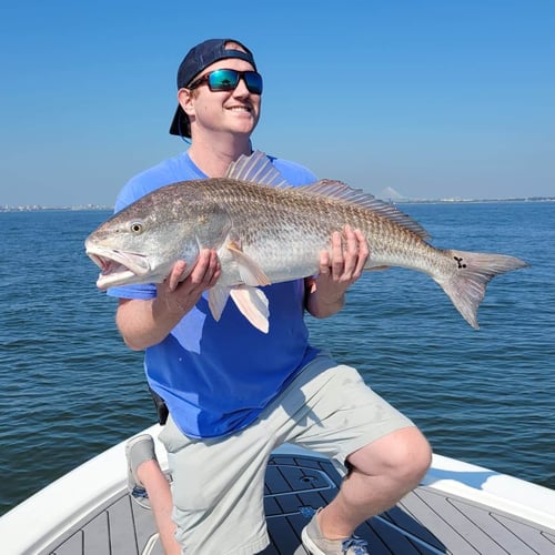 Low Country Inshore Slam In Mount Pleasant