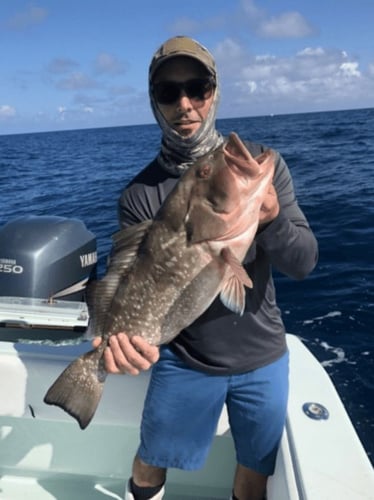 Full Day or 3/4 day Fishing Trip – Reef