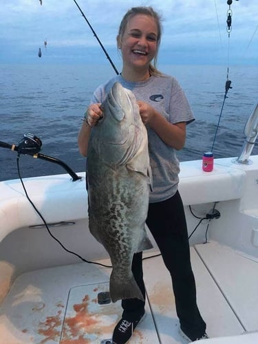 Pensacola Luxury Fishing Adventure - 43' Bertram