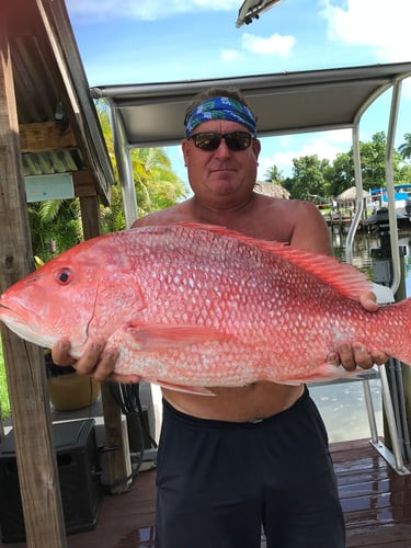 American Red Snapper Trip
