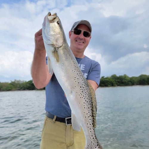 Fish in Tampa (Weekends) - 23' Ranger