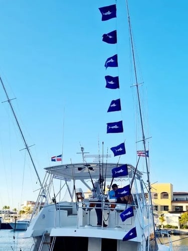 50' Offshore Fishing Cap Cana DR In Punta Cana