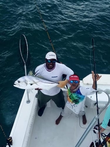 Roosterfish, Grouper, Snapper - 33' Proline