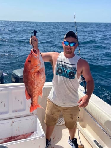 Gulf Shores Red Snapper Romp