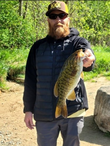 Trophy Panfish on the Fly in Grand Rapids
