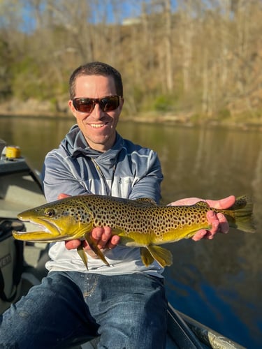 Streamer Fishing for Brown Trout in Johnson City