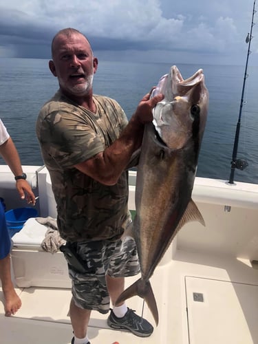 Amberjack Special - 31' Cape Horn