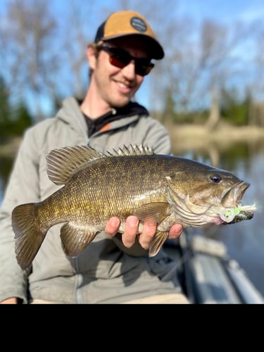 Warm Weather Smallmouths And Pike In Sheboygan Falls