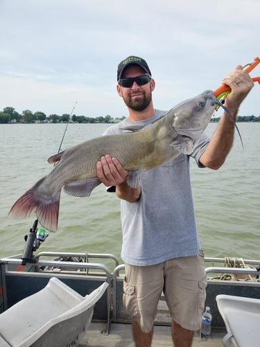 Lake Erie Catfish Special