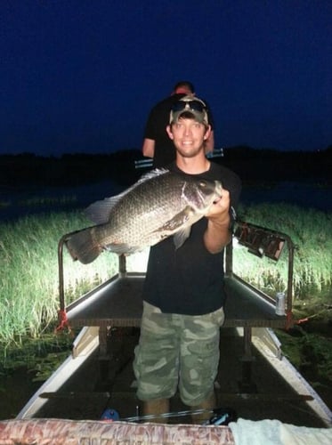Night Bowfishing (4 Hours) In Kissimmee