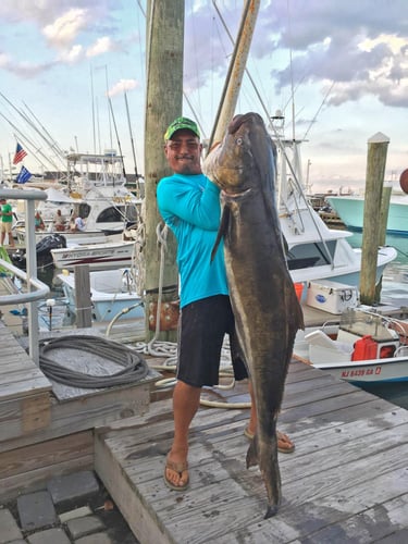 Trophy Thrills With Captain Shannon In Galveston