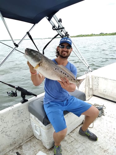 Freshwater Redfish - Calaveras Lake (Weekend Rate)