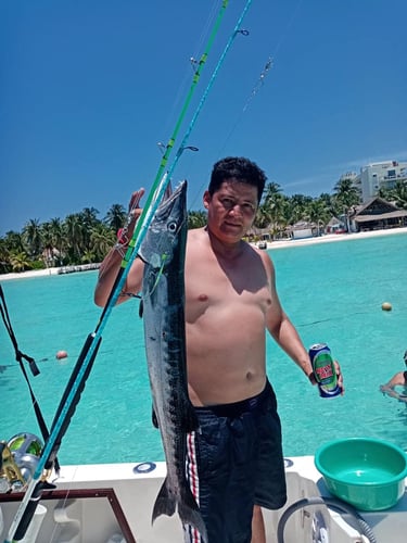 Cancun Barracuda Barrage
