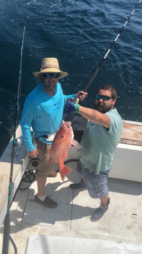 Spring Special Nearshore, Offshore Trips