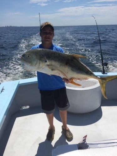 Inshore Targets, Nearshore Trolling In Orange Beach