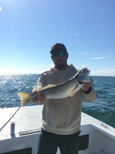 Trophy Red Drum Trip In Morehead City