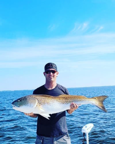 Trophy Red Drum Trip In New Bern