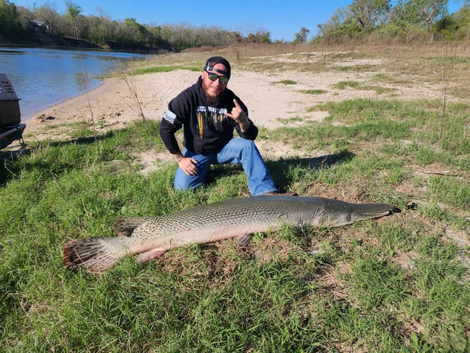 World Record Alligator Gar In Coldspring