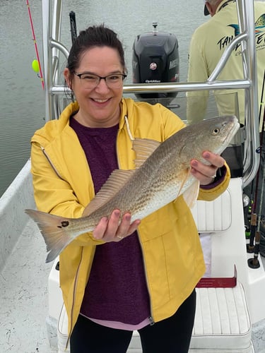 Texas City Inshore Roundup In Texas City