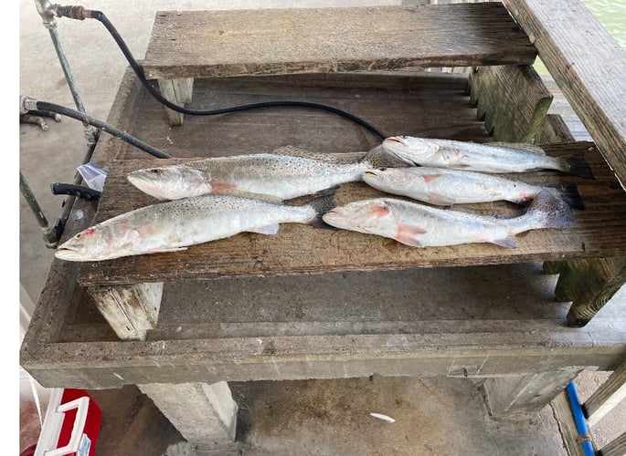 Texas City Inshore Roundup In Texas City