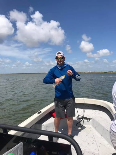 22' Whaler Inshore In Galveston