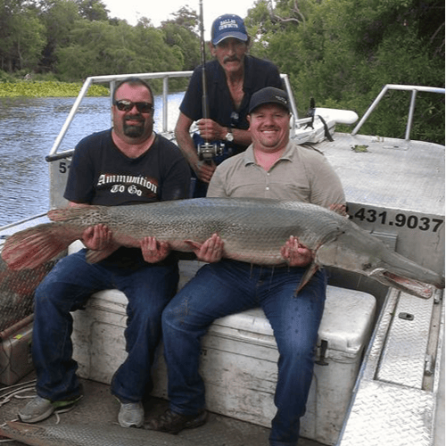 "Alpha" Alligator Gar Bowfishing In Houston