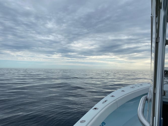 Full Day Offshore Grouper/Snapper Trip