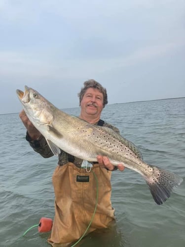 Texas Coast Cast And Blast In Rockport