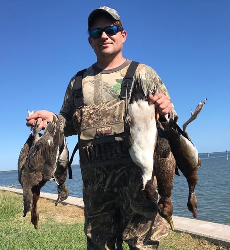 Texas Variety Duck Trip In Laguna Vista