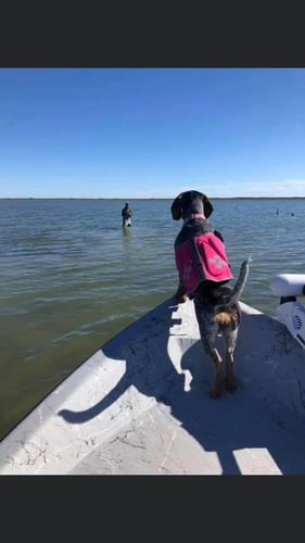 Texas Coast Cast And Blast In Rockport