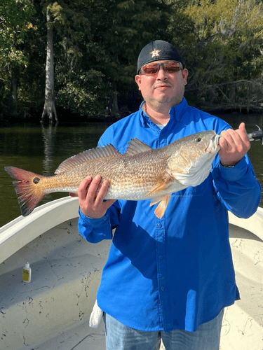 22' Whaler Inshore - Texas City in Texas City
