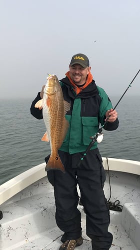 22' Whaler Inshore - Texas City In Texas City