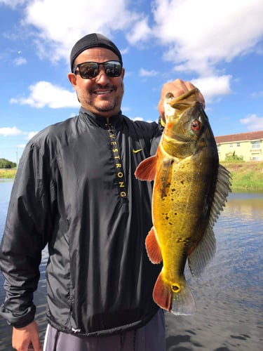 Lake Ida Freshwater Slam In Delray Beach