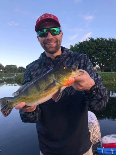 Lake Ida Freshwater Slam In Delray Beach