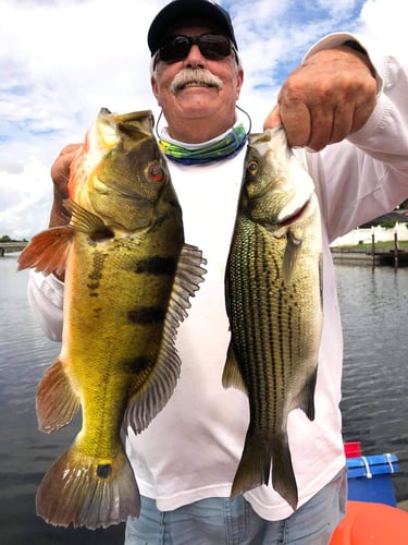 Lake Ida Freshwater Slam In Delray Beach