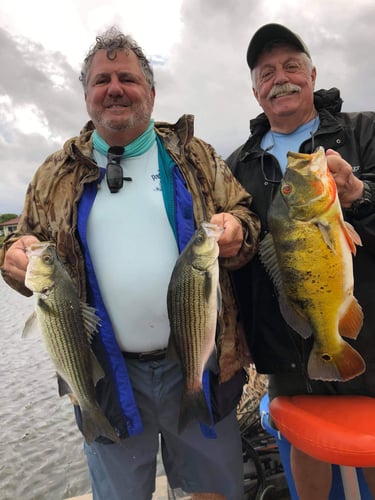 Full Day, 3/4 Day or Half-Day Fishing Trip