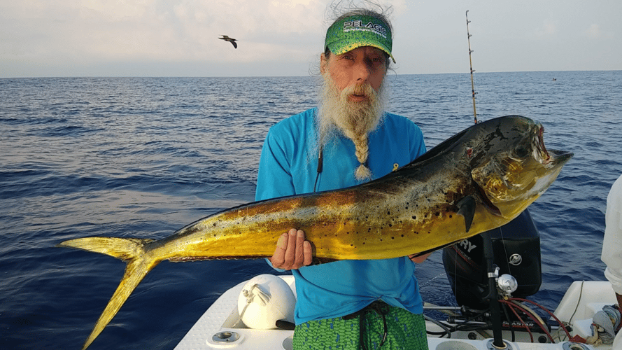 Gitana Fishing - Half Day Offshore In Playa Herradura