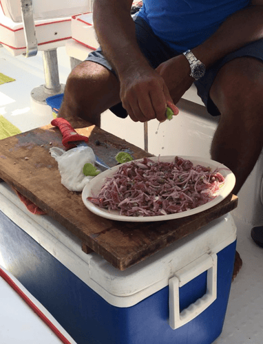 Gitana Fishing - Half Day Offshore In Playa Herradura