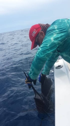 Gitana Fishing - Half Day Offshore In Playa Herradura