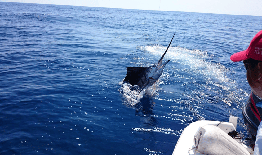 Half Day Offshore In Playa Herradura