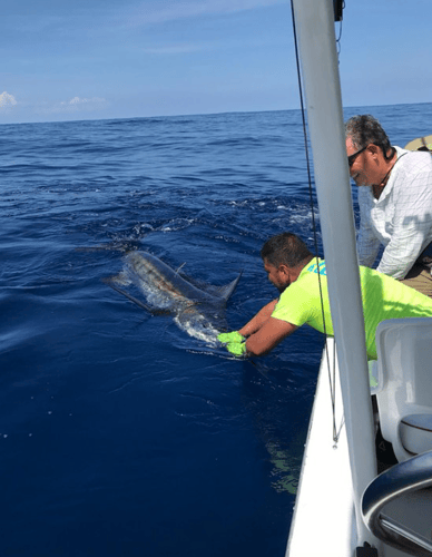 Half Day Offshore In Playa Herradura