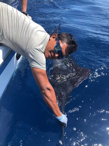 Gitana Fishing - Half Day Offshore In Playa Herradura