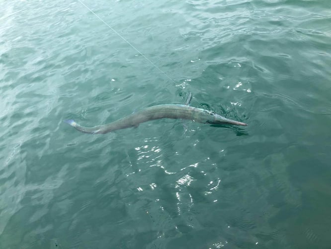 Gitana Fishing - Half Day Offshore In Playa Herradura