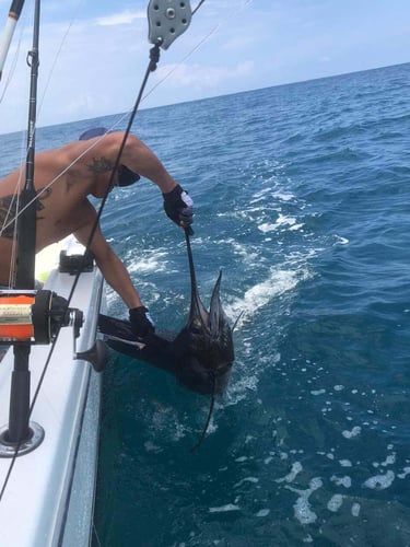 Gitana Fishing - Half Day Offshore In Playa Herradura