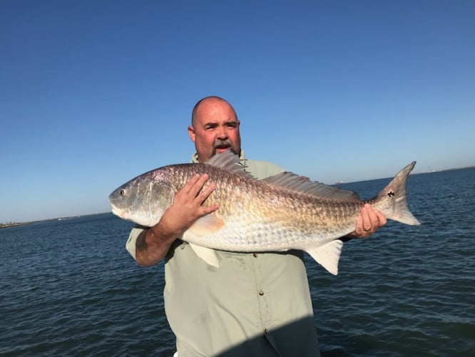 Galveston Inshore Trip In Galveston